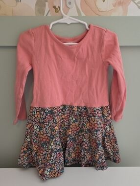 Tea Collection 4 Or 4t Long Sleeve Pink  Floral Toddler Dress Fall Winter